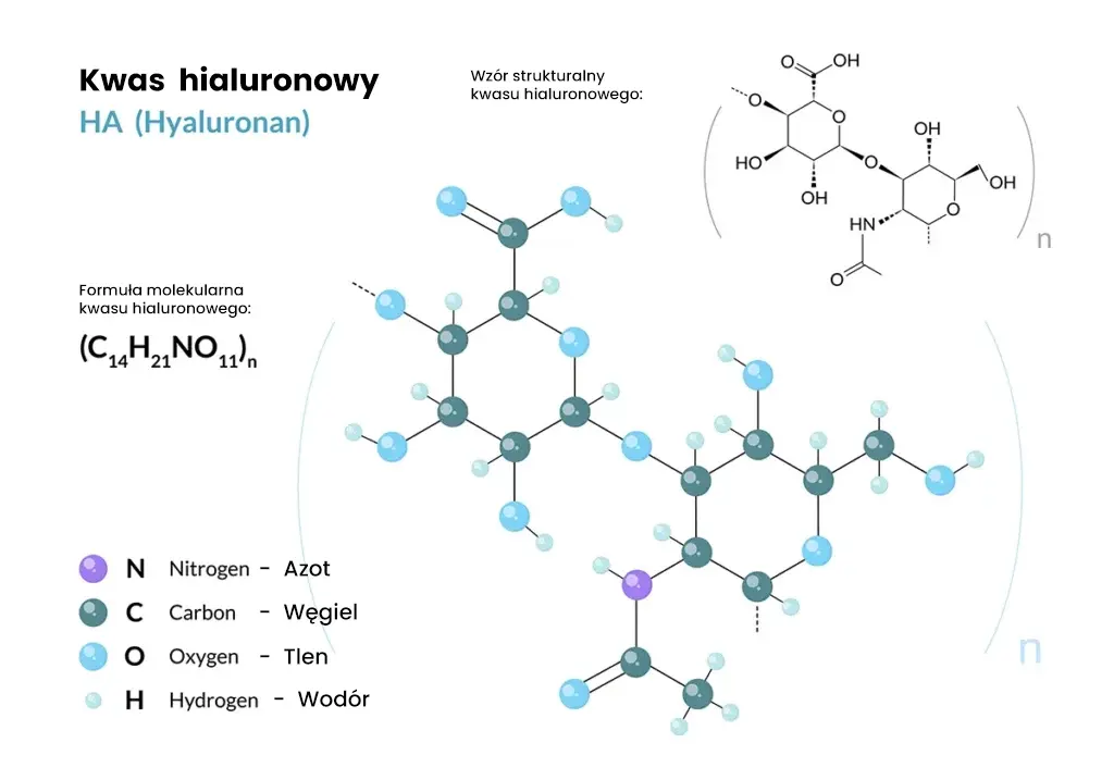 Schemat budowy chemicznej kwasu hialuronowego