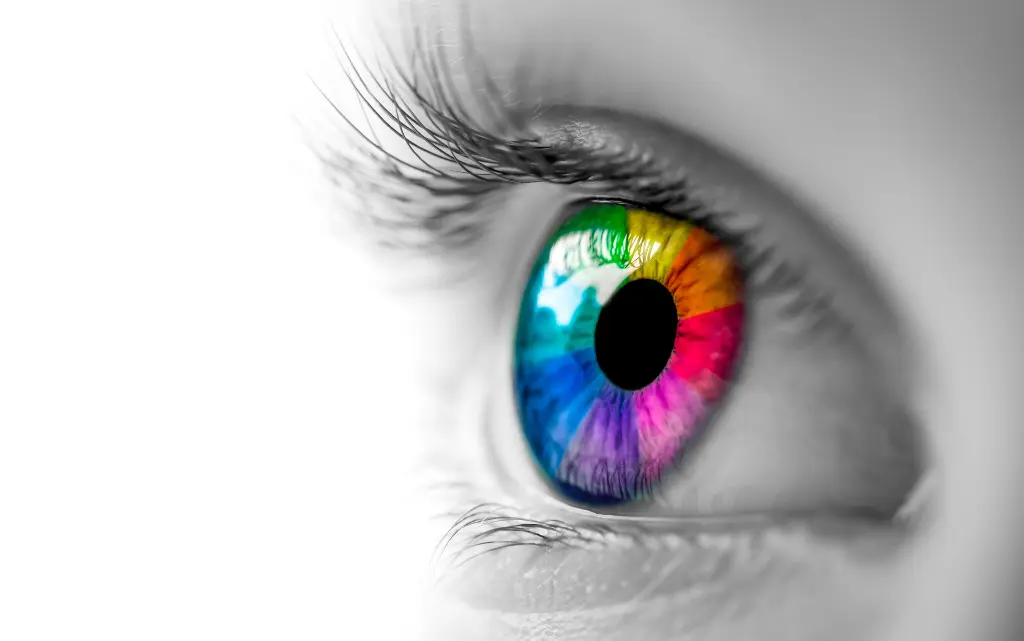 Oko z kolorową tęczówką